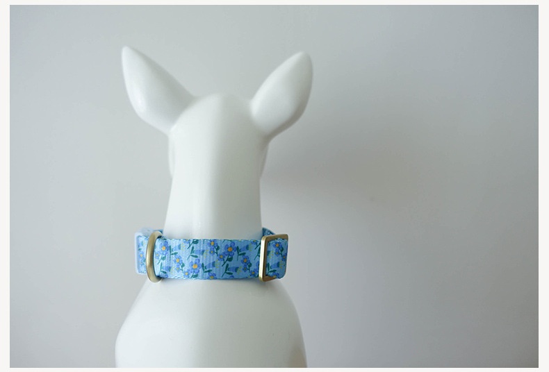Blue Plastic Buckle Lightweight Pet Collar detail photo 1
