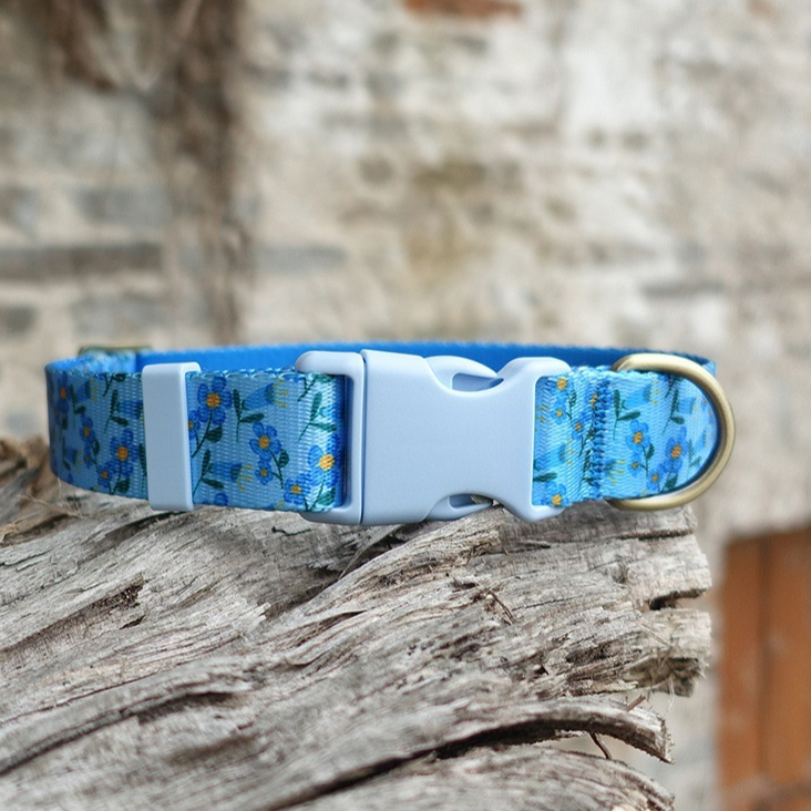 Blue Plastic Buckle Lightweight Pet Collar