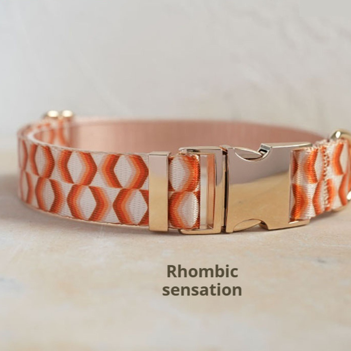 Wear-resistant Polyester Printed Pet Collar