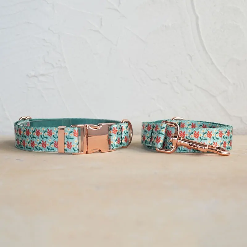 Soft and Comfortable Pet Dog Collar Leash Set