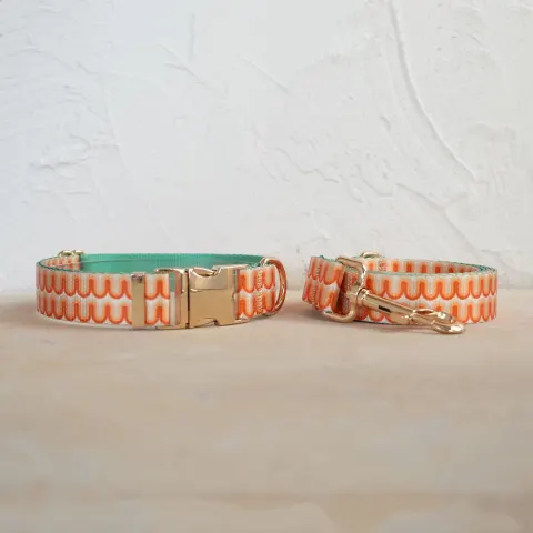 Soft and Comfortable Pet Dog Collar Leash Set