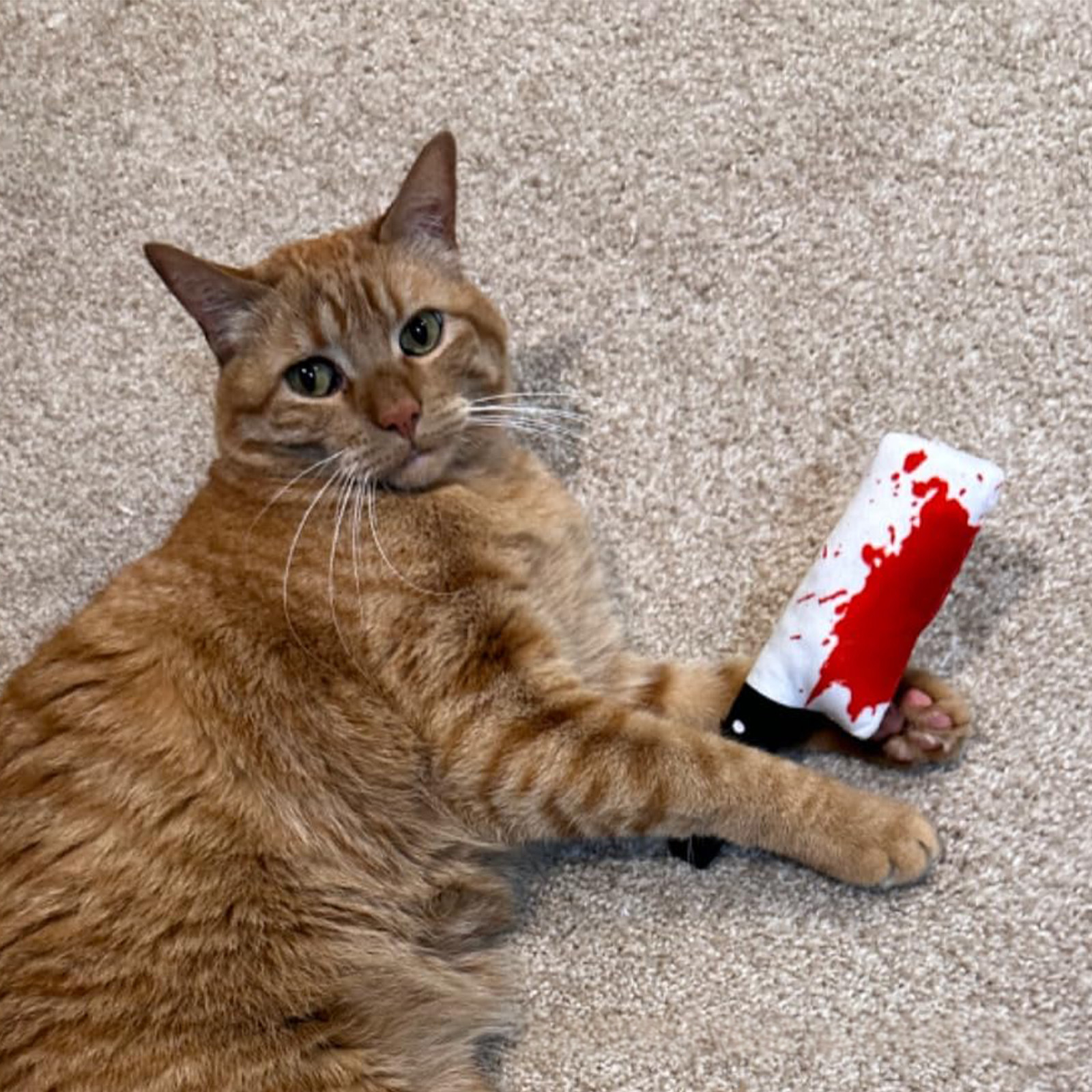 Halloween Catnip-filled Self-entertainment Pet Toy
