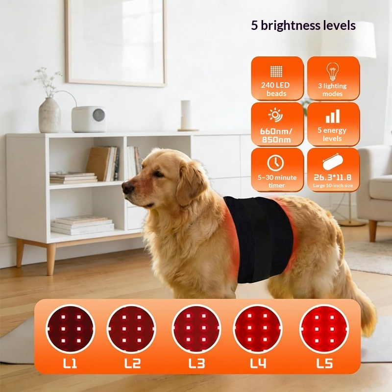 Pet Infrared Lumbar Support Belt detail photo 9