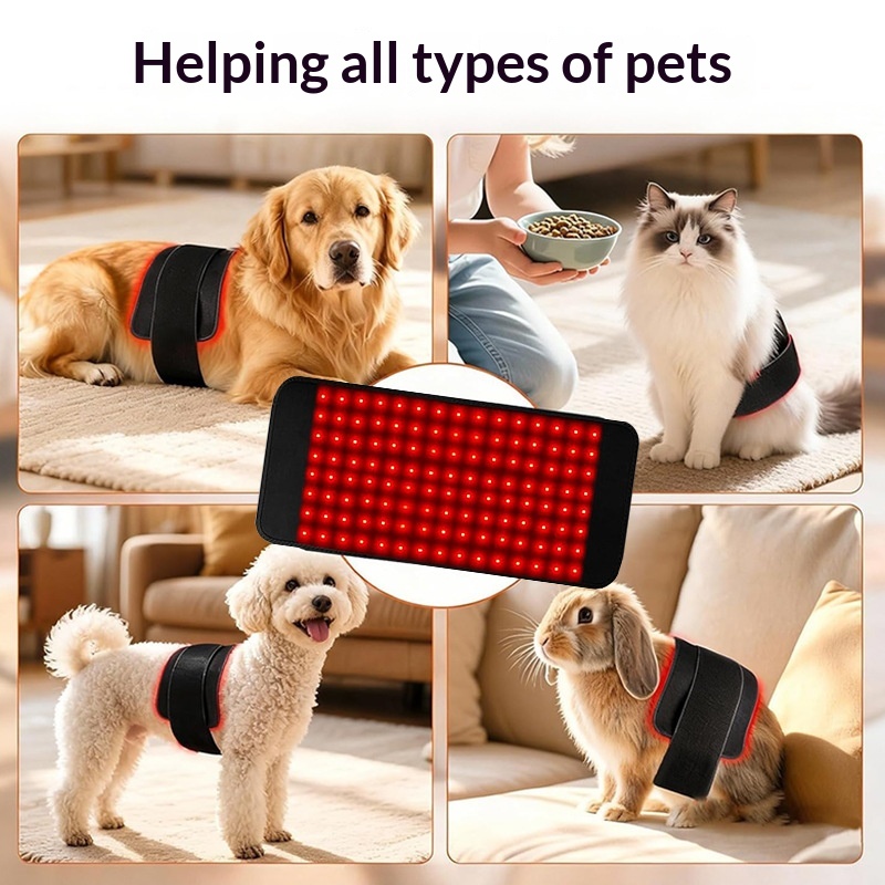Pet Infrared Lumbar Support Belt detail photo 5
