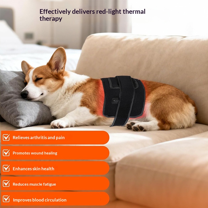 Pet Infrared Lumbar Support Belt detail photo 2