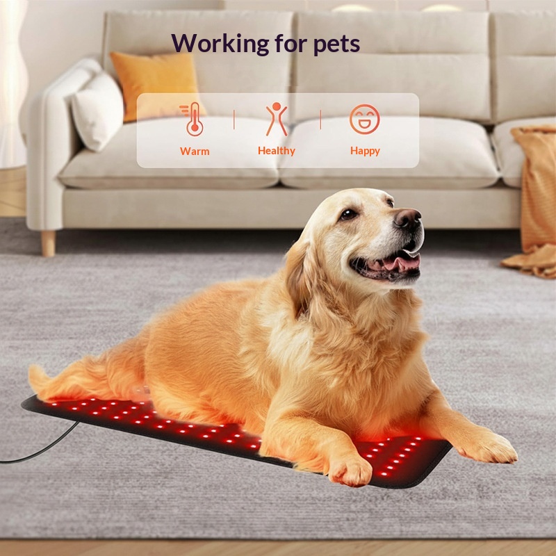 Pet Infrared Lumbar Support Belt detail photo 4