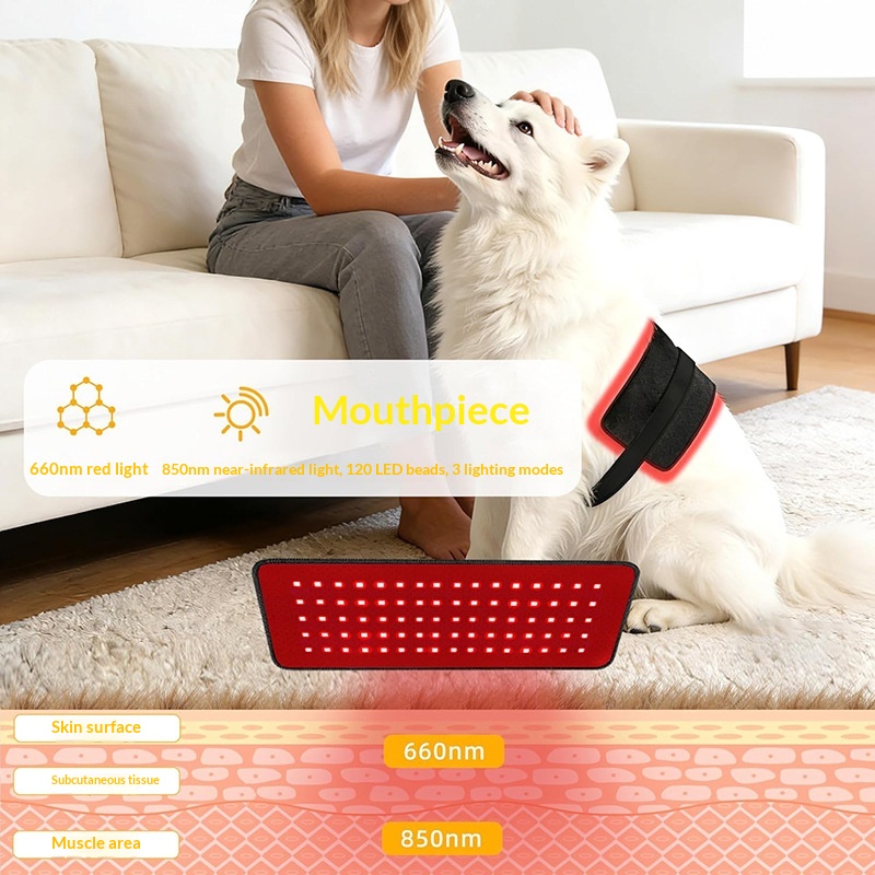Pet Infrared Lumbar Support Belt detail photo 3