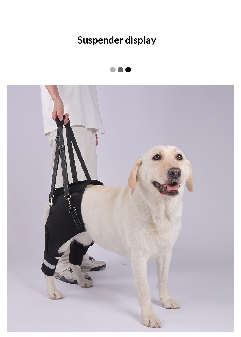 Dog Rear-leg Assist Harness For Senior And Disabled Dogs Aiding In Rehabilitation detail photo 3