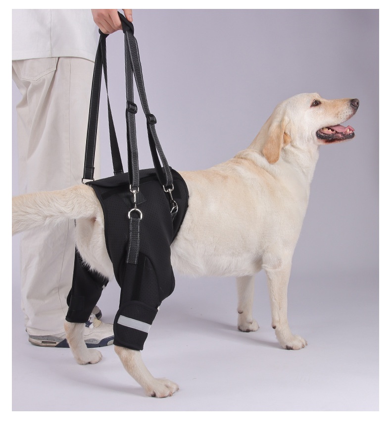 Dog Rear-leg Assist Harness For Senior And Disabled Dogs Aiding In Rehabilitation detail photo 7