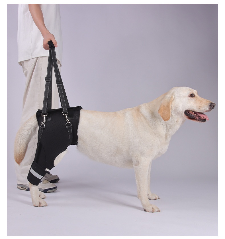 Dog Rear-leg Assist Harness For Senior And Disabled Dogs Aiding In Rehabilitation detail photo 11