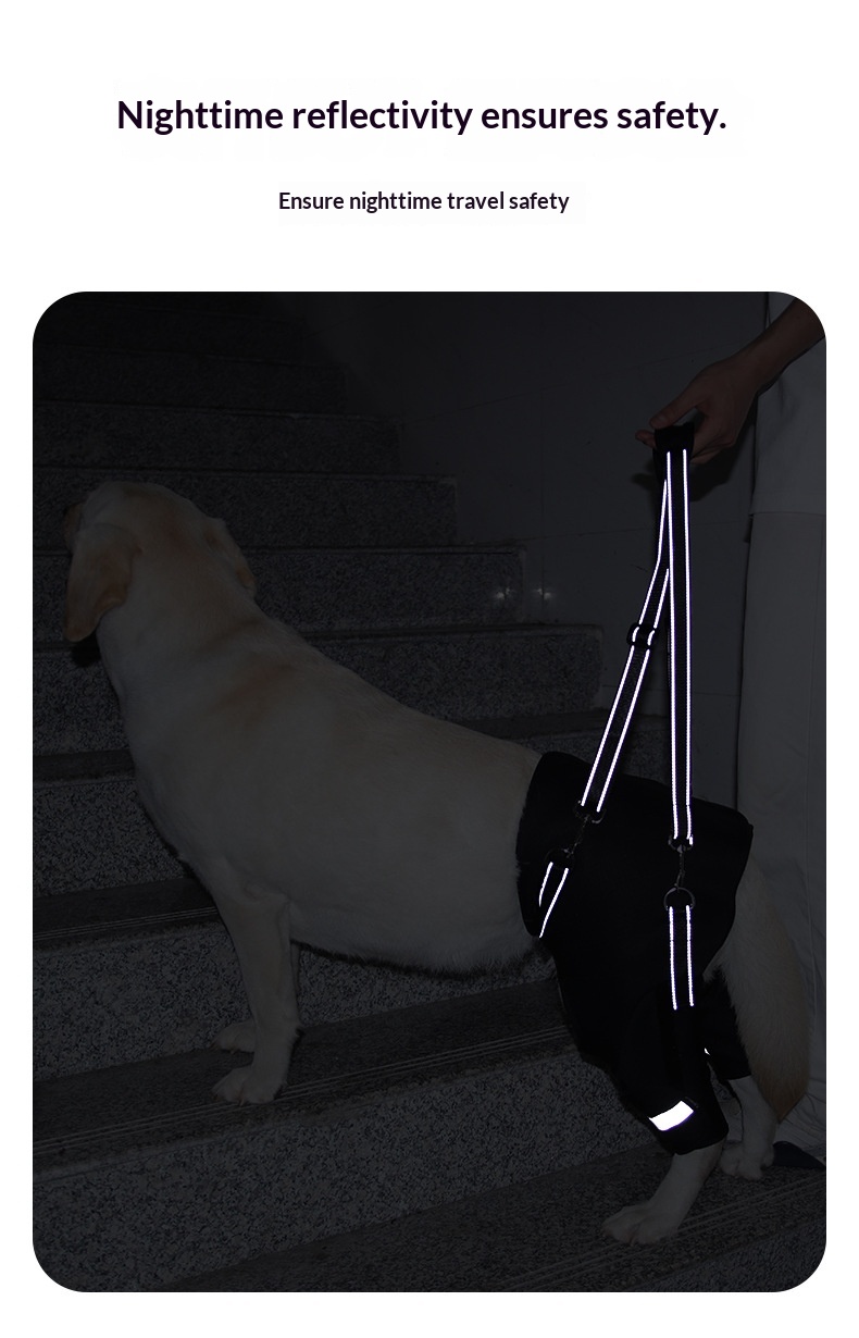 Dog Rear-leg Assist Harness For Senior And Disabled Dogs Aiding In Rehabilitation detail photo 1