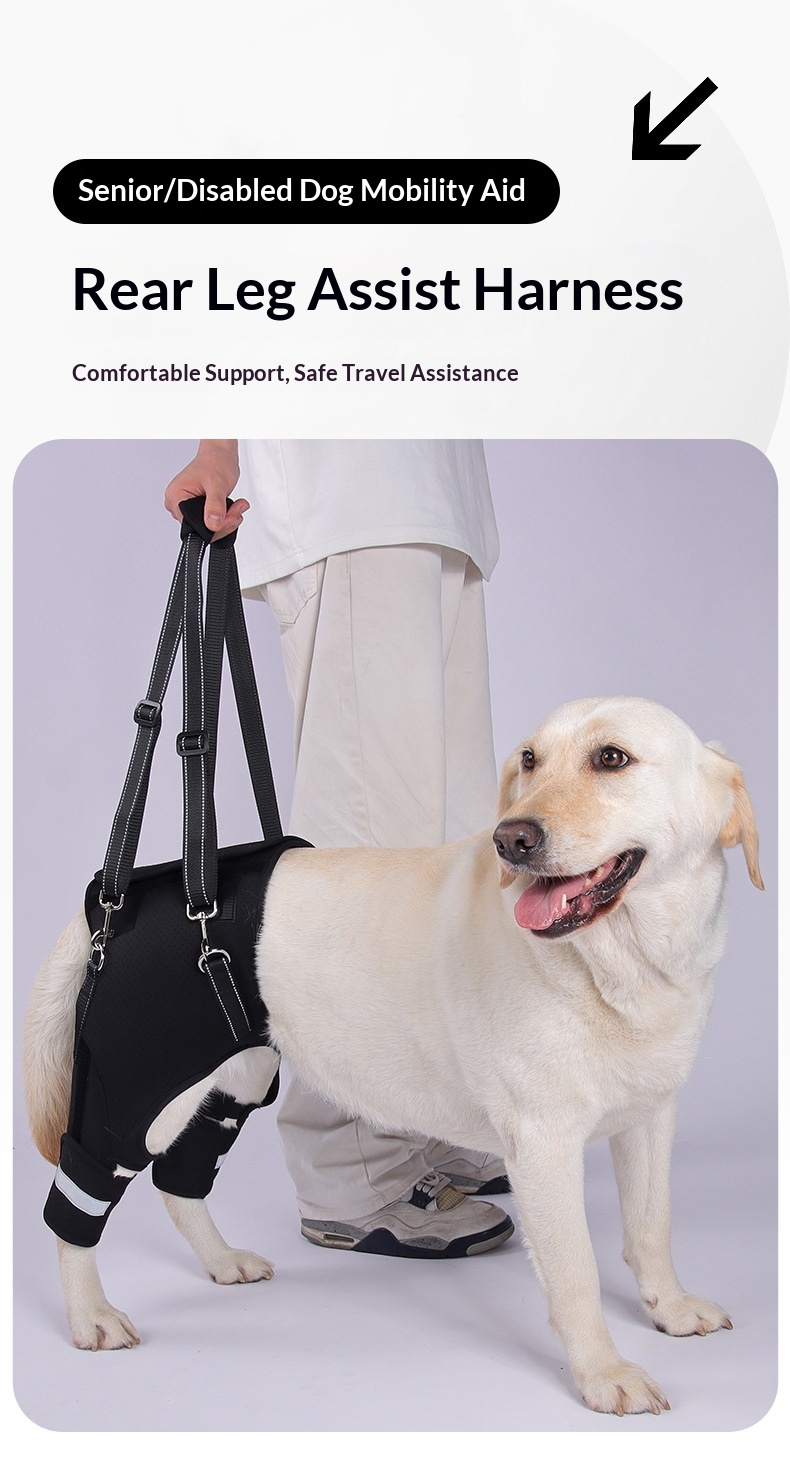 Dog Rear-leg Assist Harness For Senior And Disabled Dogs Aiding In Rehabilitation detail photo 2