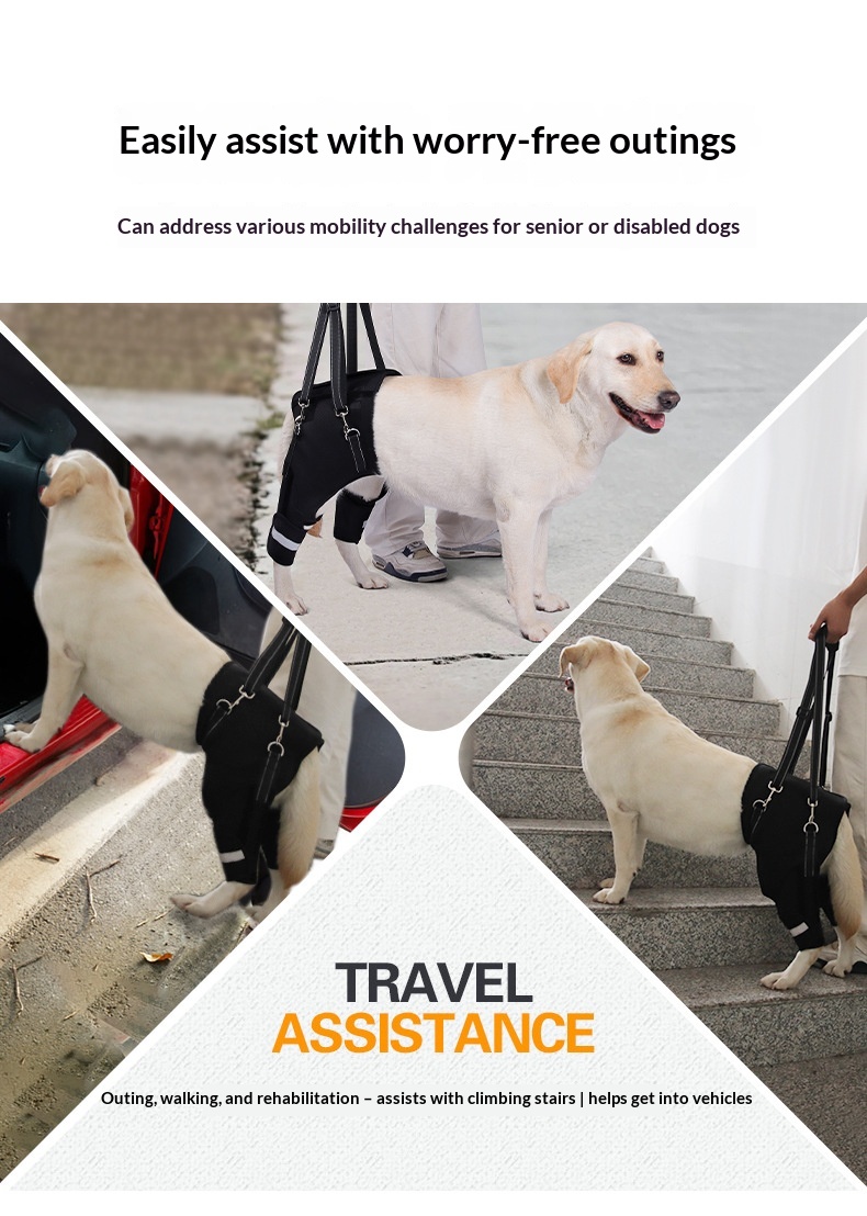 Dog Rear-leg Assist Harness For Senior And Disabled Dogs Aiding In Rehabilitation detail photo 10
