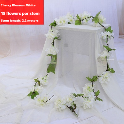 https://oss-cf.cjdropshipping.com/product/2026/10/01/13/7d1caad1-f6d4-4d25-9c2e-0b6059cb1f53_water_fine.jpeg