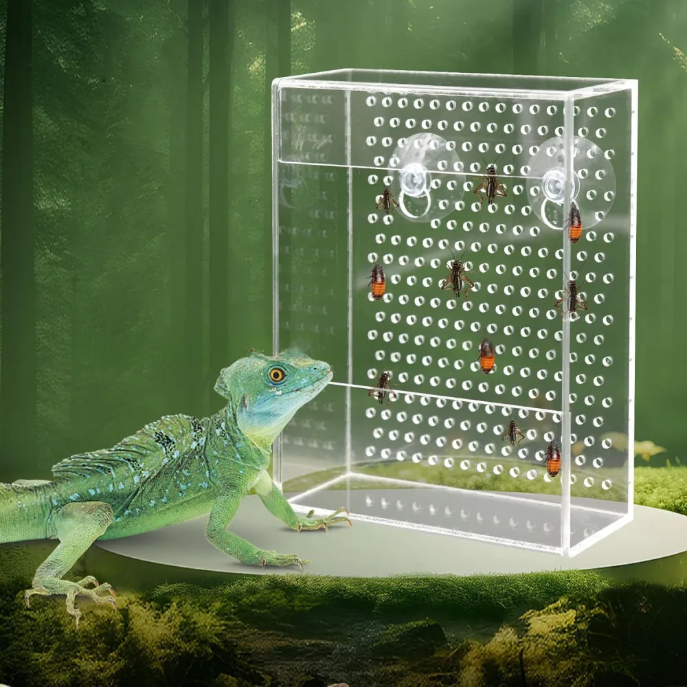 Wall-mounted Acrylic Reptile Feeding Box