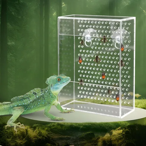 Wall-mounted Acrylic Reptile Feeding Box