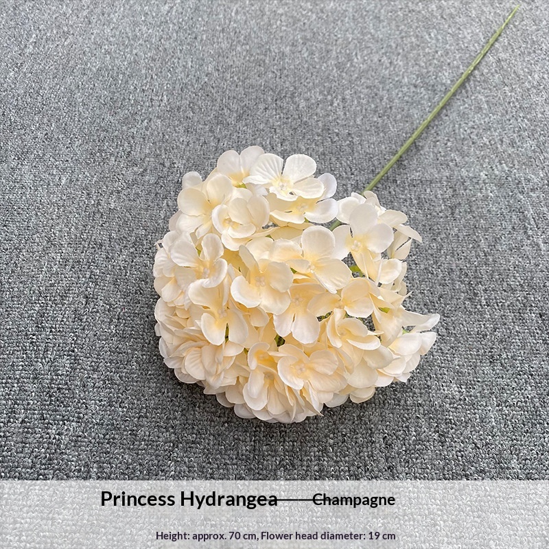 https://oss-cf.cjdropshipping.com/product/2026/10/02/12/9c2bd152-10c5-4bc9-a67b-2539e6bbefe0_trans.jpeg