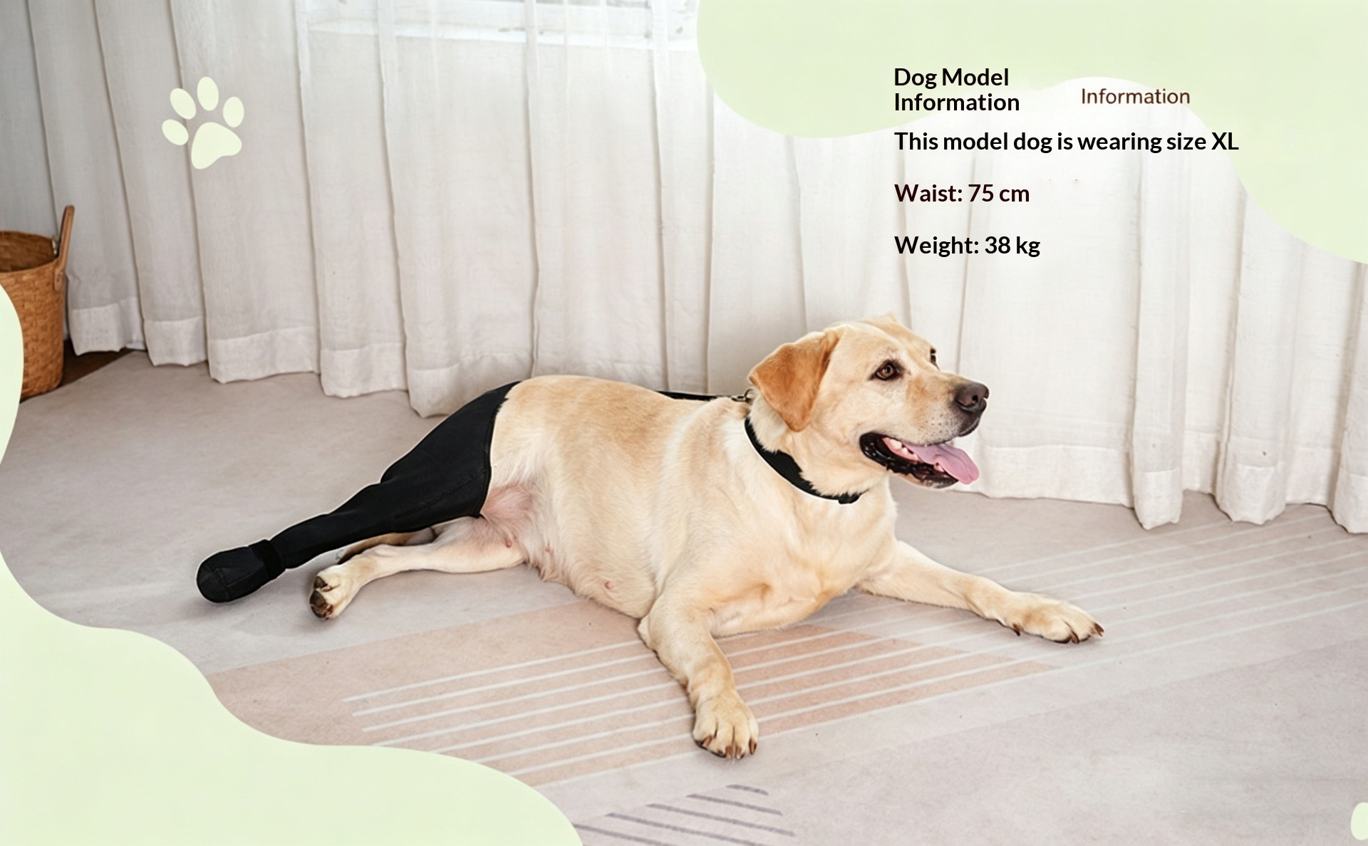 New Pet Knee Brace For Post-leg Injury Support In Cases Of Ligament Strains detail photo 4