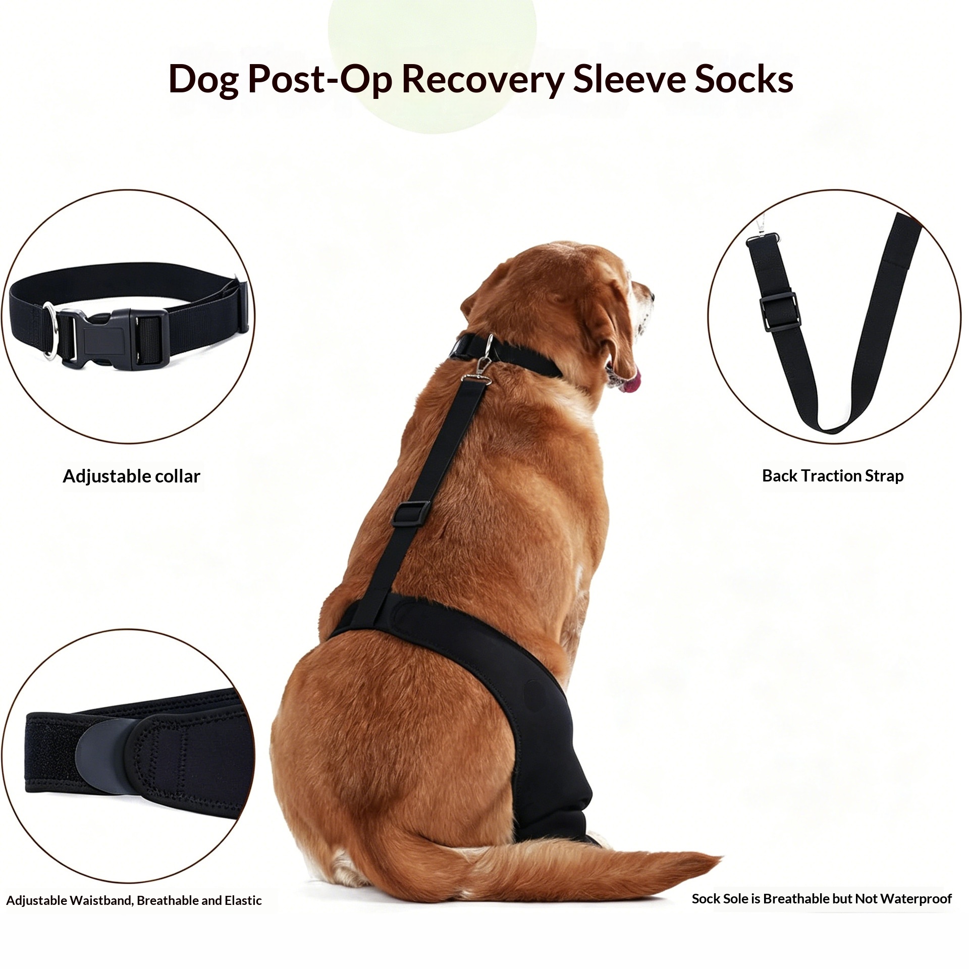 New Pet Knee Brace For Post-leg Injury Support In Cases Of Ligament Strains detail photo 5