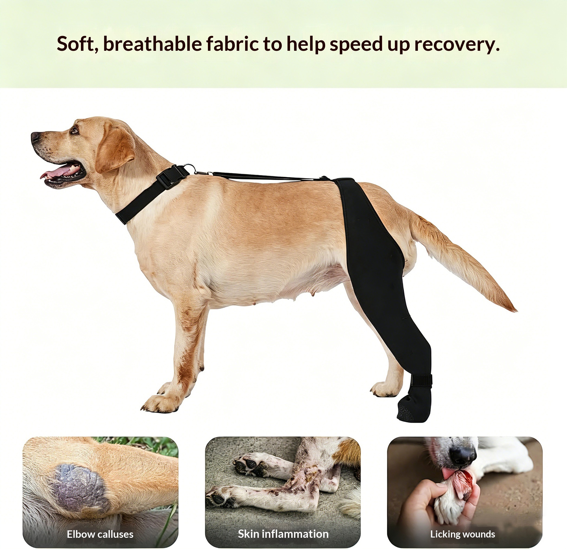 New Pet Knee Brace For Post-leg Injury Support In Cases Of Ligament Strains detail photo 2