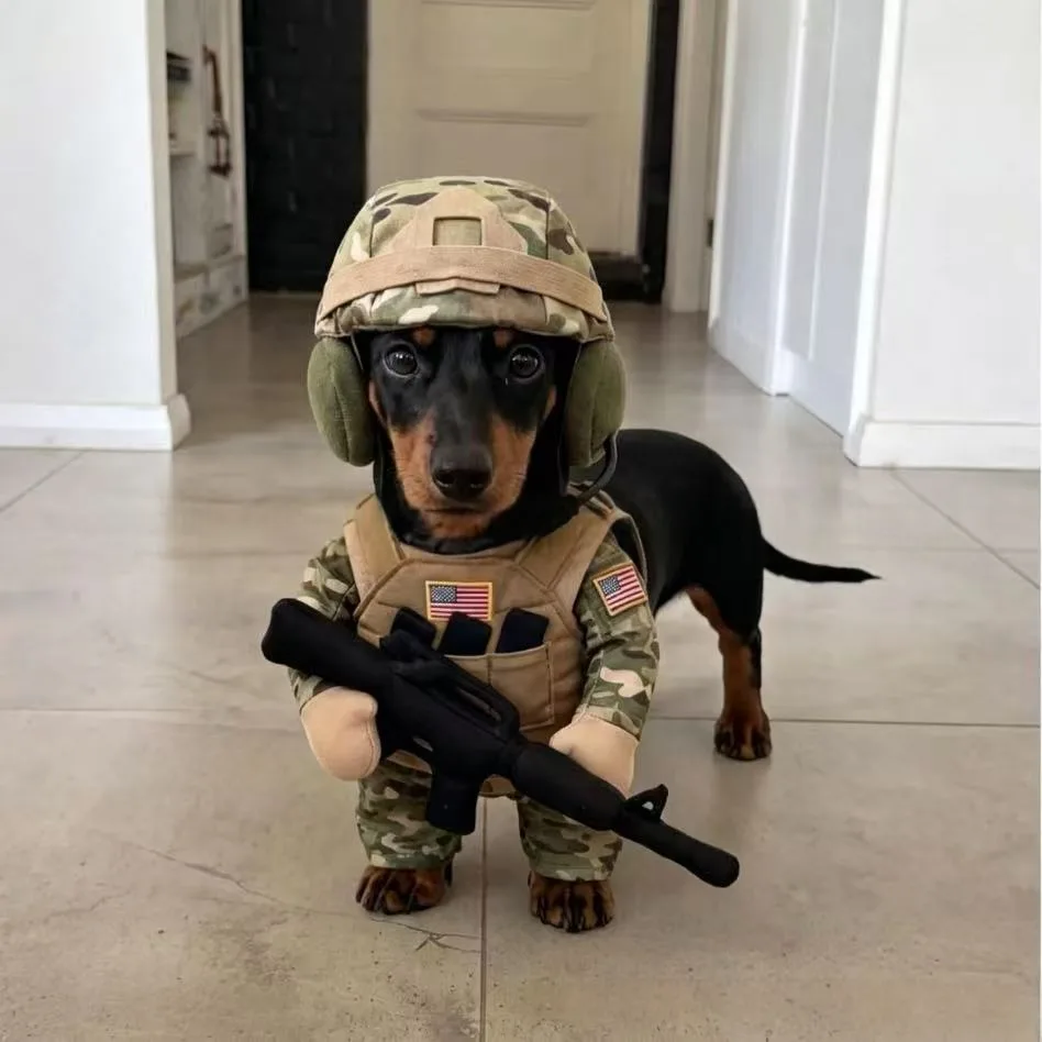 Puppy Soldier Clothes Suit