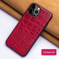 Rose Red