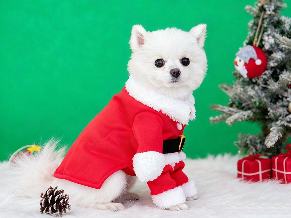 Dog Christmas Clothes Cat Cape Cloak detail photo 4