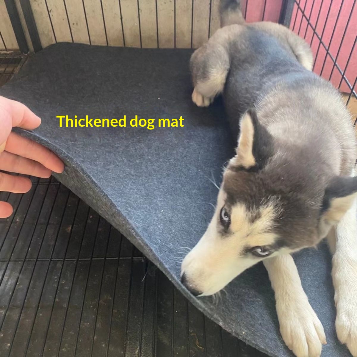 Dog Mattress Floor Mat For Sleeping Thickened Pet Dog Pad detail photo 18