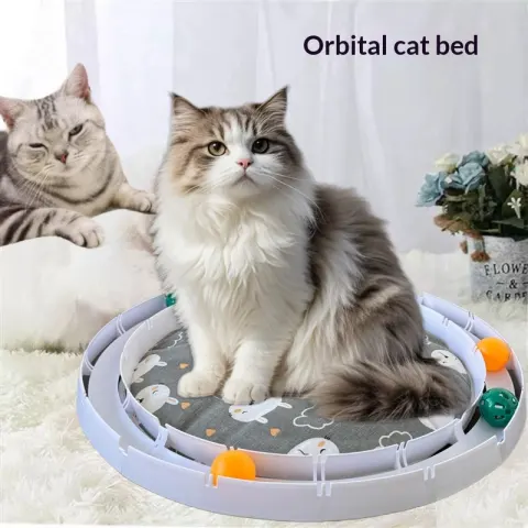 A Fun-to-assemble Track Ball Pet Bed to Keep Your