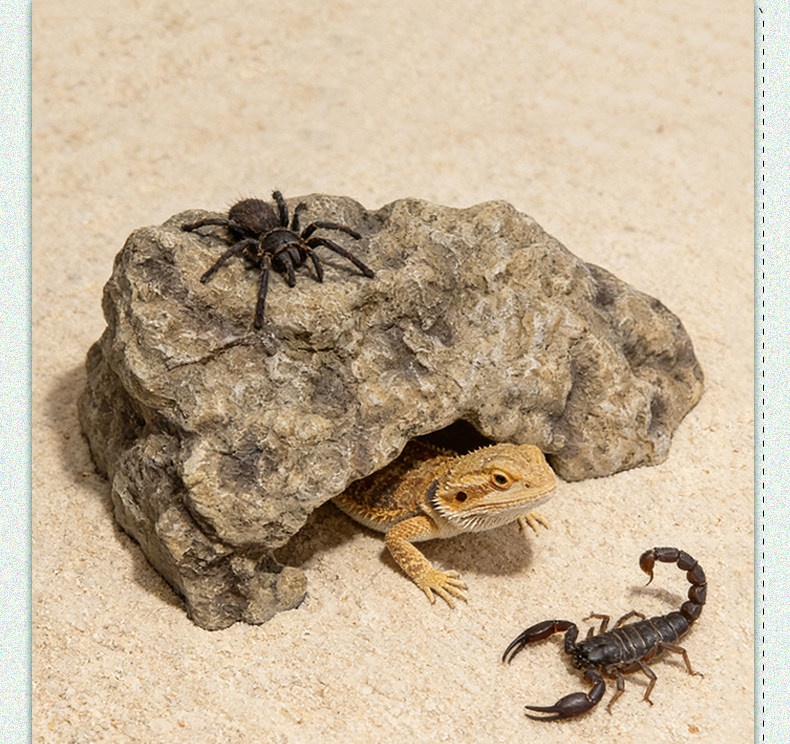 Climbing Pet Simulation Rock Landscape Shelter Mane Lion Lizard Guard Lizard Snake Cave Hiding Rest detail photo 1