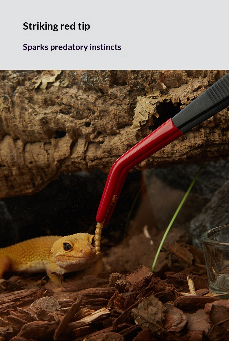 Stainless Steel Cleaning Manure Crawler Professional Climbing Pet Feeding Tweezers detail photo 5