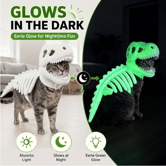 Creative Dinosaur Skeleton Pet Costume