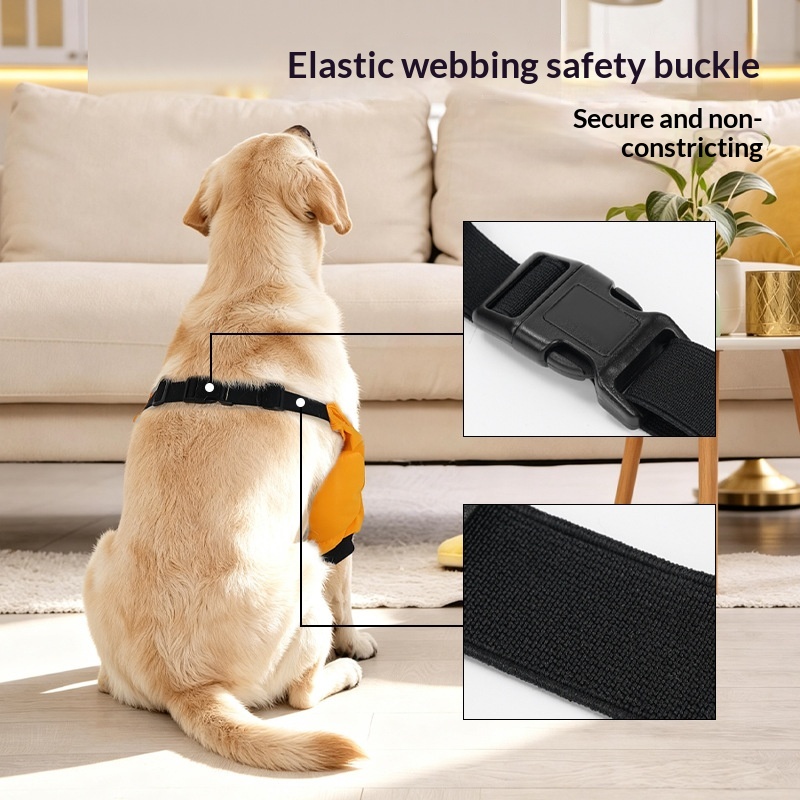 https://oss-cf.cjdropshipping.com/product/2026/10/12/02/3eb81995-1803-419a-bd75-84200426bb98_trans.jpeg