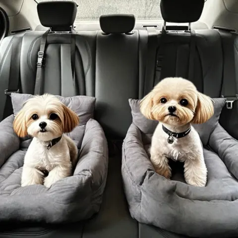 Front-row Car Pet Safety Seat