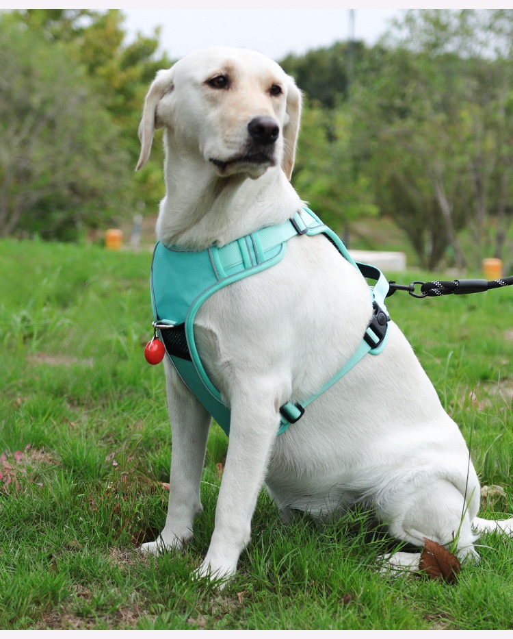 Dog Harness Compatible With Airtag Tracker detail photo 4