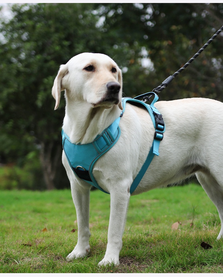 Dog Harness Compatible With Airtag Tracker detail photo 8