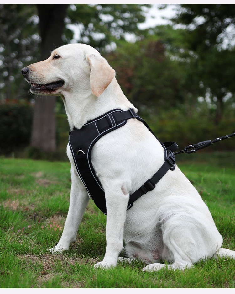 Dog Harness Compatible With Airtag Tracker detail photo 12
