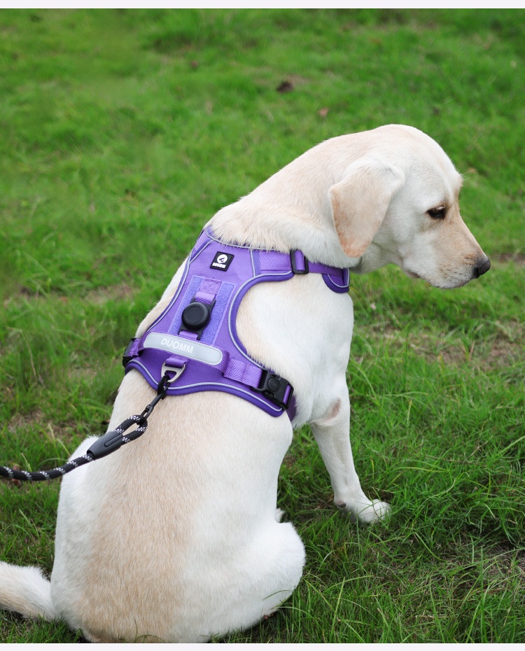 Dog Harness Compatible With Airtag Tracker detail photo 9