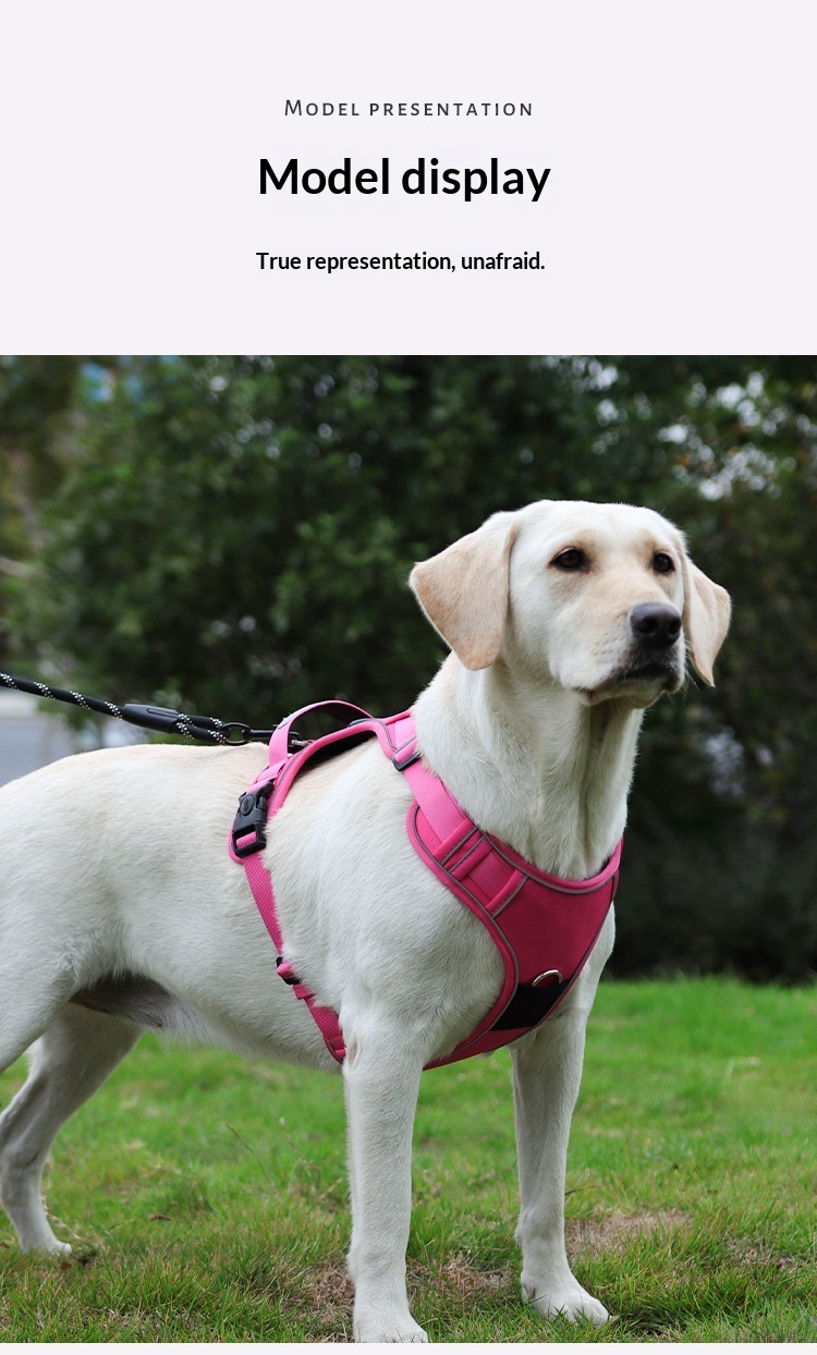 Dog Harness Compatible With Airtag Tracker detail photo 18