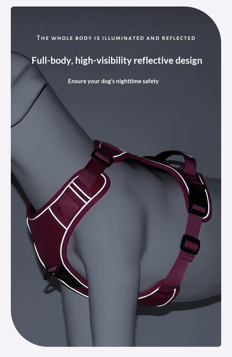 Dog Harness Compatible With Airtag Tracker detail photo 14
