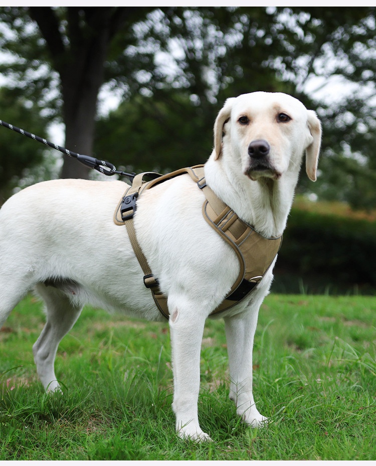 Dog Harness Compatible With Airtag Tracker detail photo 19