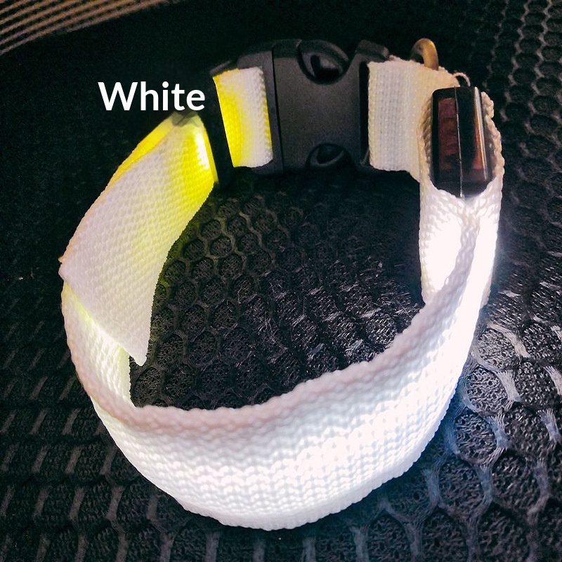 https://oss-cf.cjdropshipping.com/product/2026/10/14/03/2d378d61-df81-4c01-9cd9-ab01ea896505_trans.jpeg