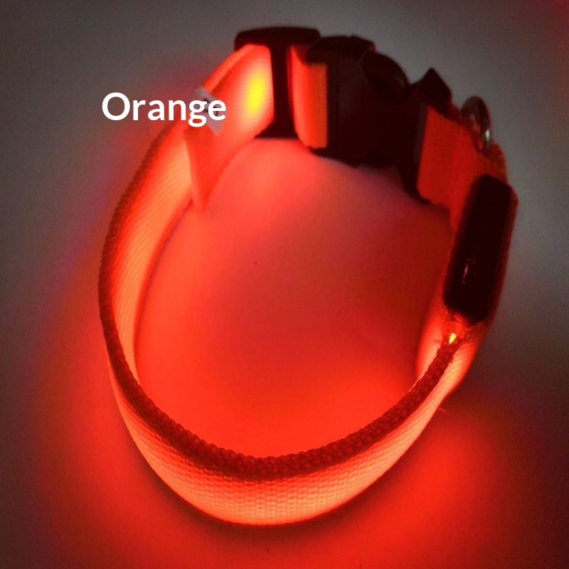 https://oss-cf.cjdropshipping.com/product/2026/10/14/03/e5e28c2d-9a47-48e9-b14f-628b94be1d61_trans.jpeg