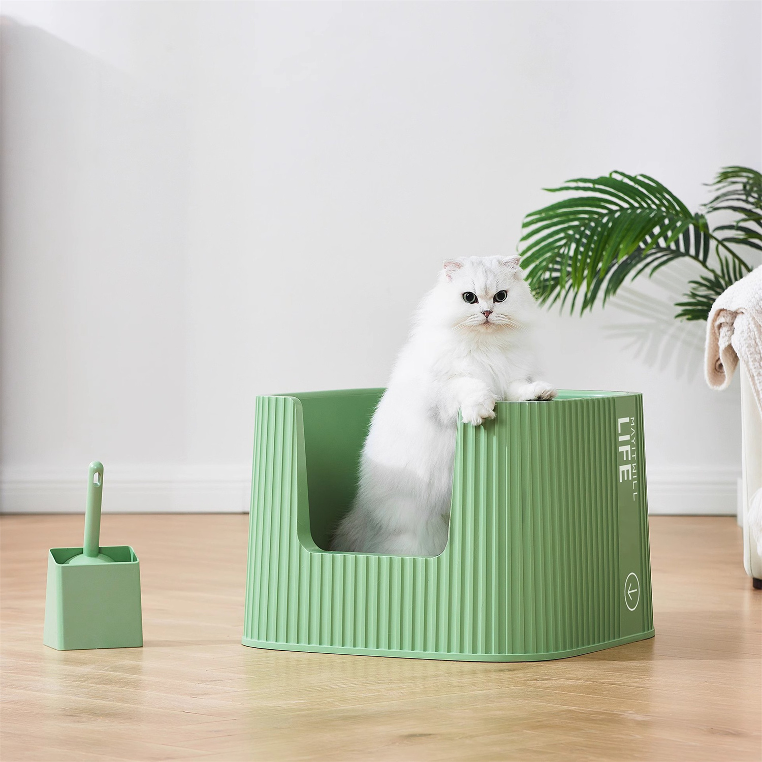 Out-going Large Cat Litter Container