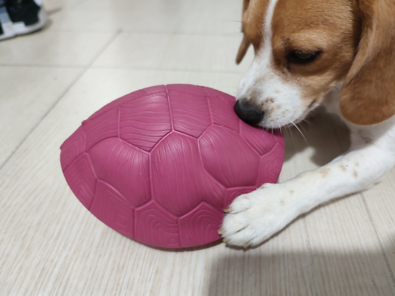 Dog Toy Durable And Chewable Pet Toy detail photo 9