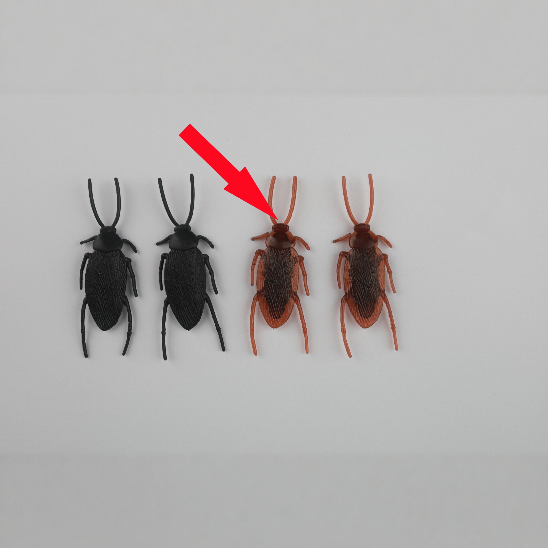 Best-selling Magnetic Cockroach Fridge Magnet - thumbnail