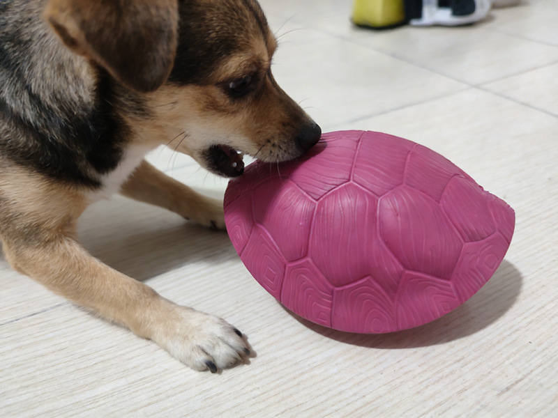 Dog Toy Durable And Chewable Pet Toy detail photo 4
