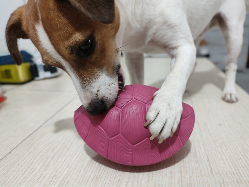 Dog Toy Durable And Chewable Pet Toy detail photo 6