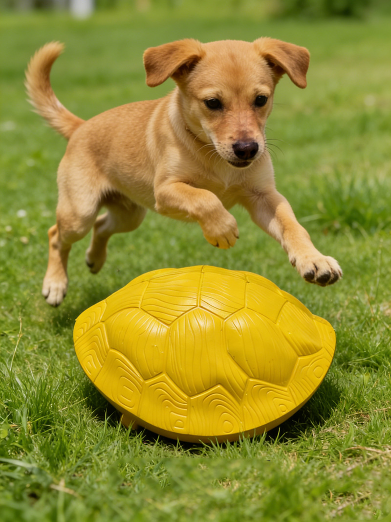 Dog Toy Durable And Chewable Pet Toy detail photo 5