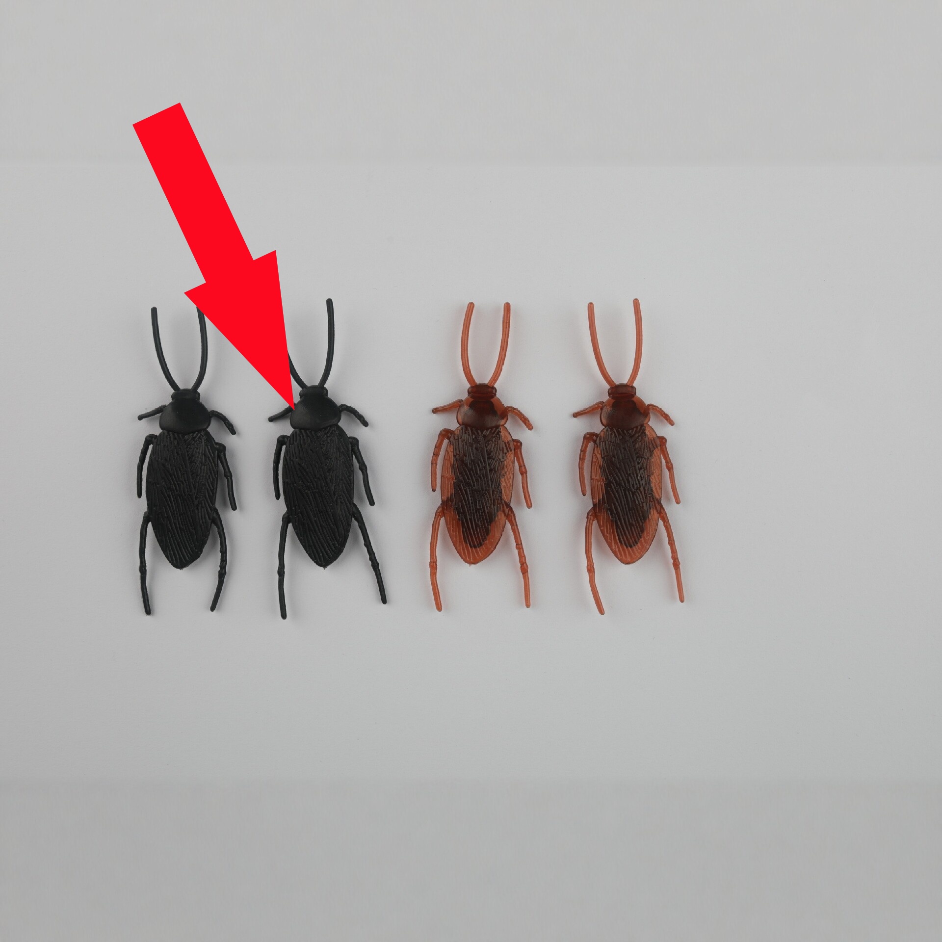 Best-selling Magnetic Cockroach Fridge Magnet - thumbnail